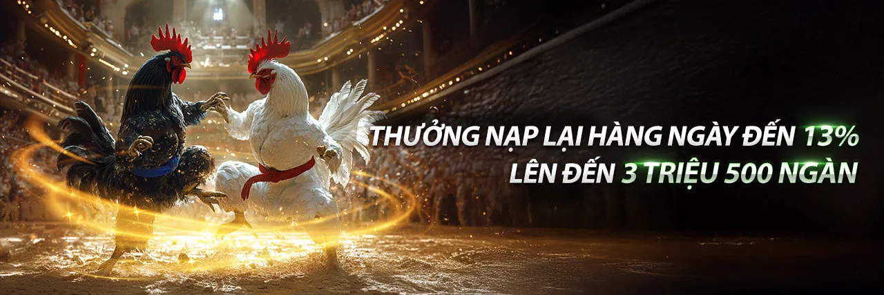 Đá gà trực tuyến Awin Casino với không khí sôi động